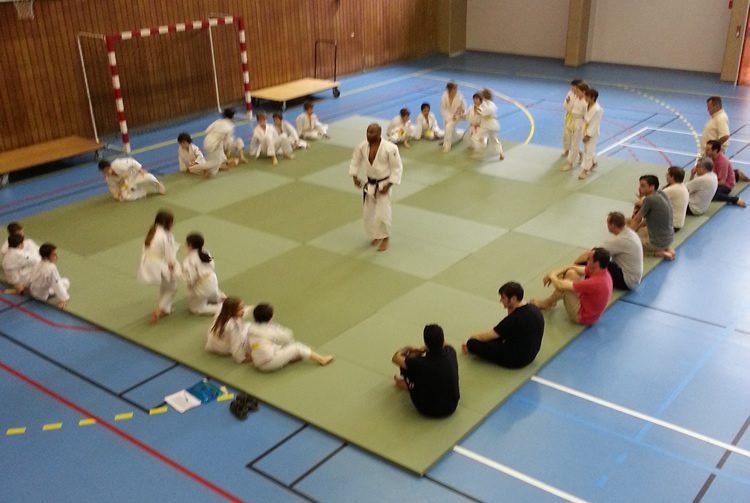 Les mercredis Handi-Judo