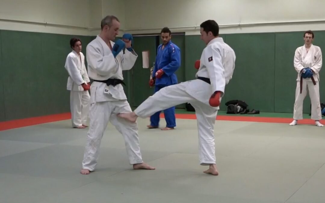 [  Vidéo ] Présentation du cours de Ju-Jitsu